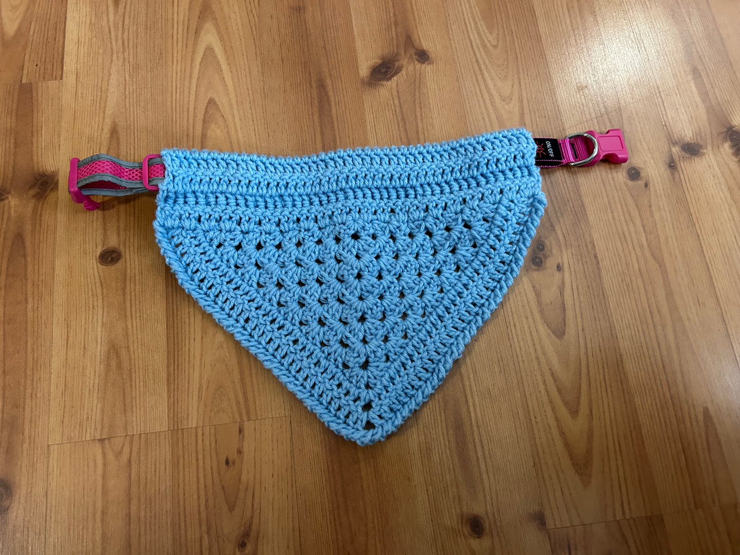 Baby Blue Bandana