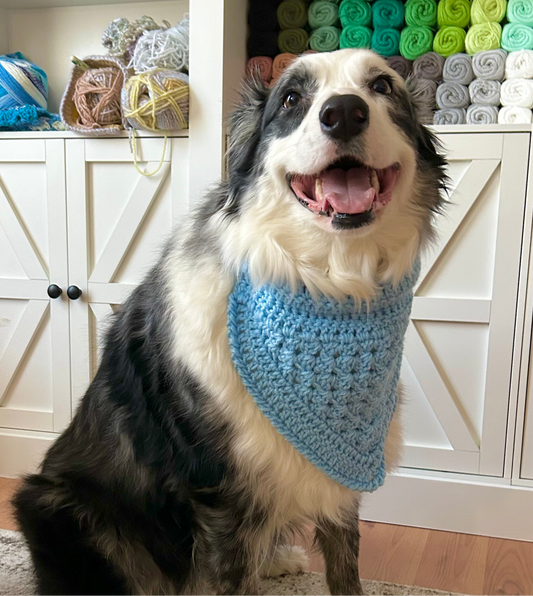 Baby Blue Bandana