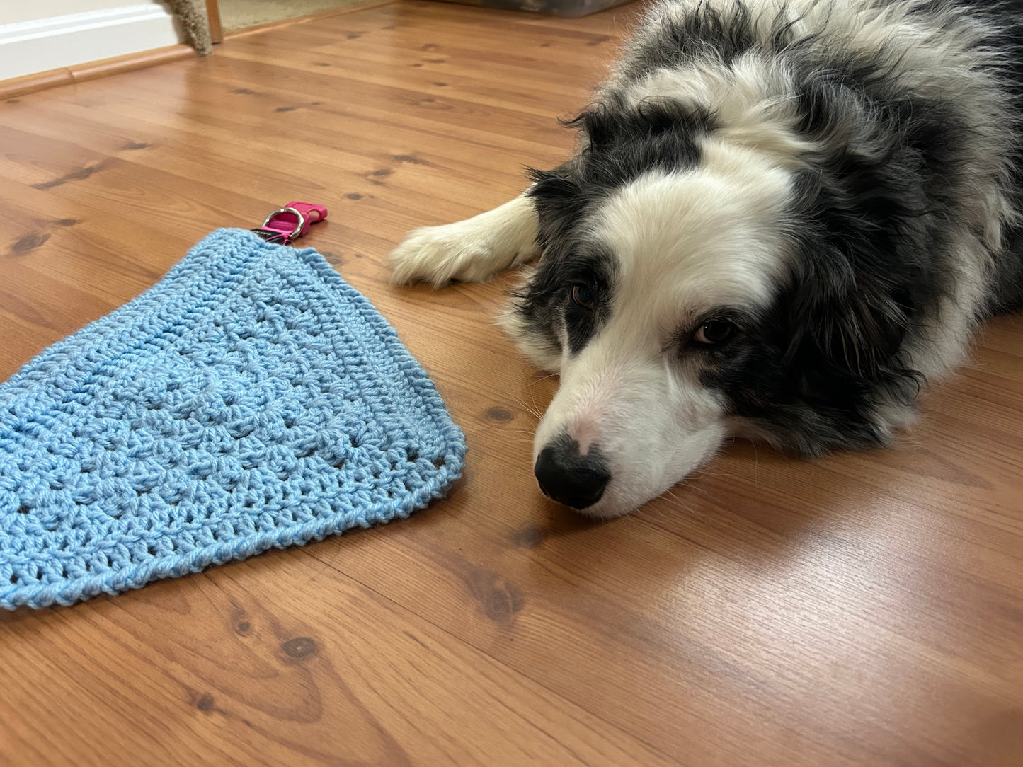 Baby Blue Bandana