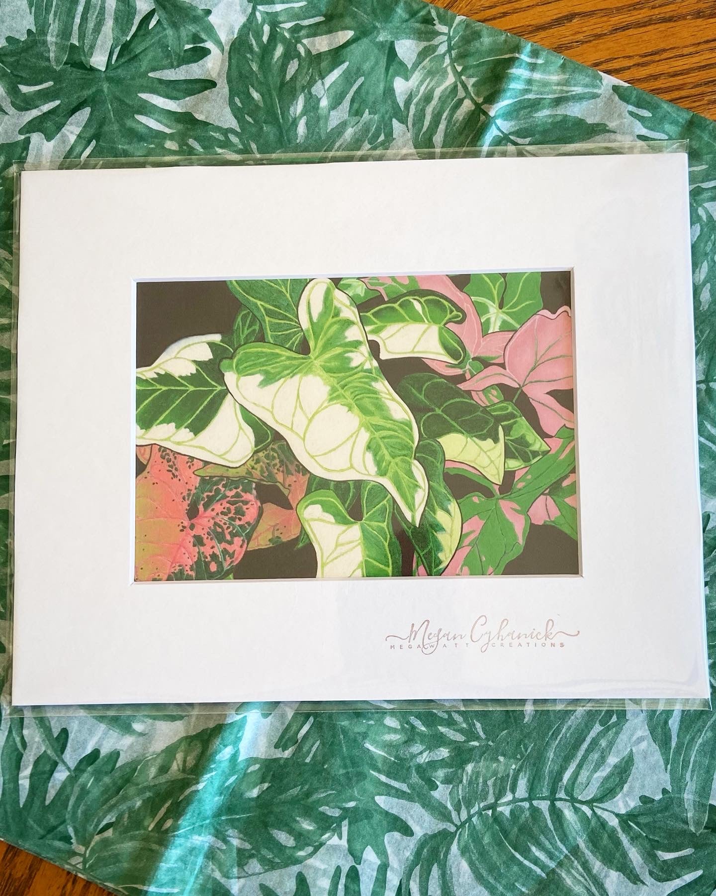 Syngonium 5x7 Print