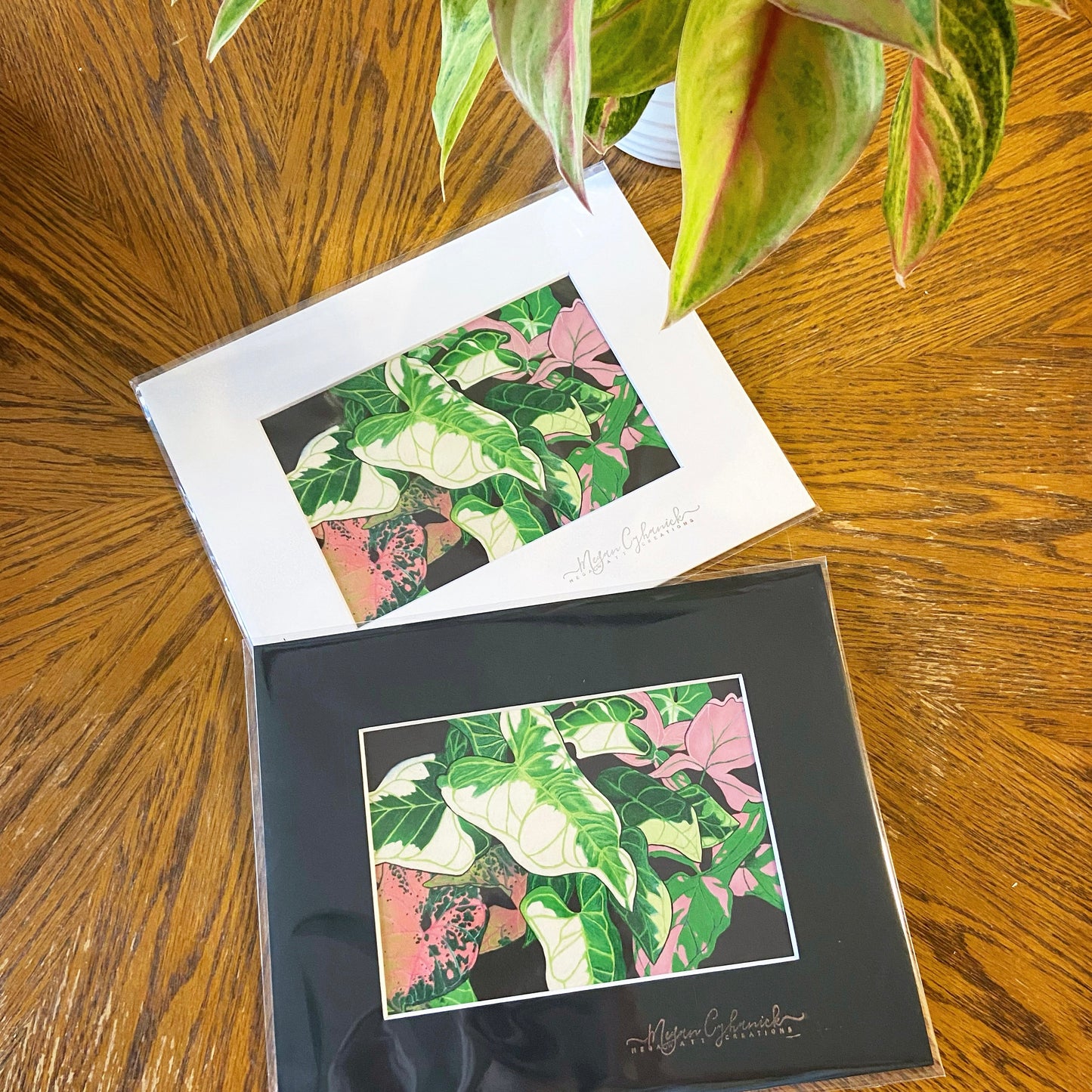 Syngonium 5x7 Print