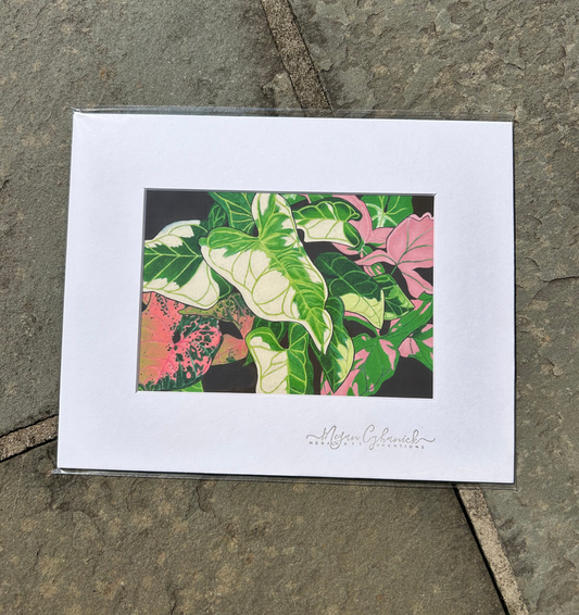 Syngonium 5x7 Print