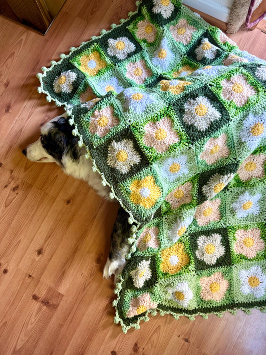 Dreamin’ of Daisys