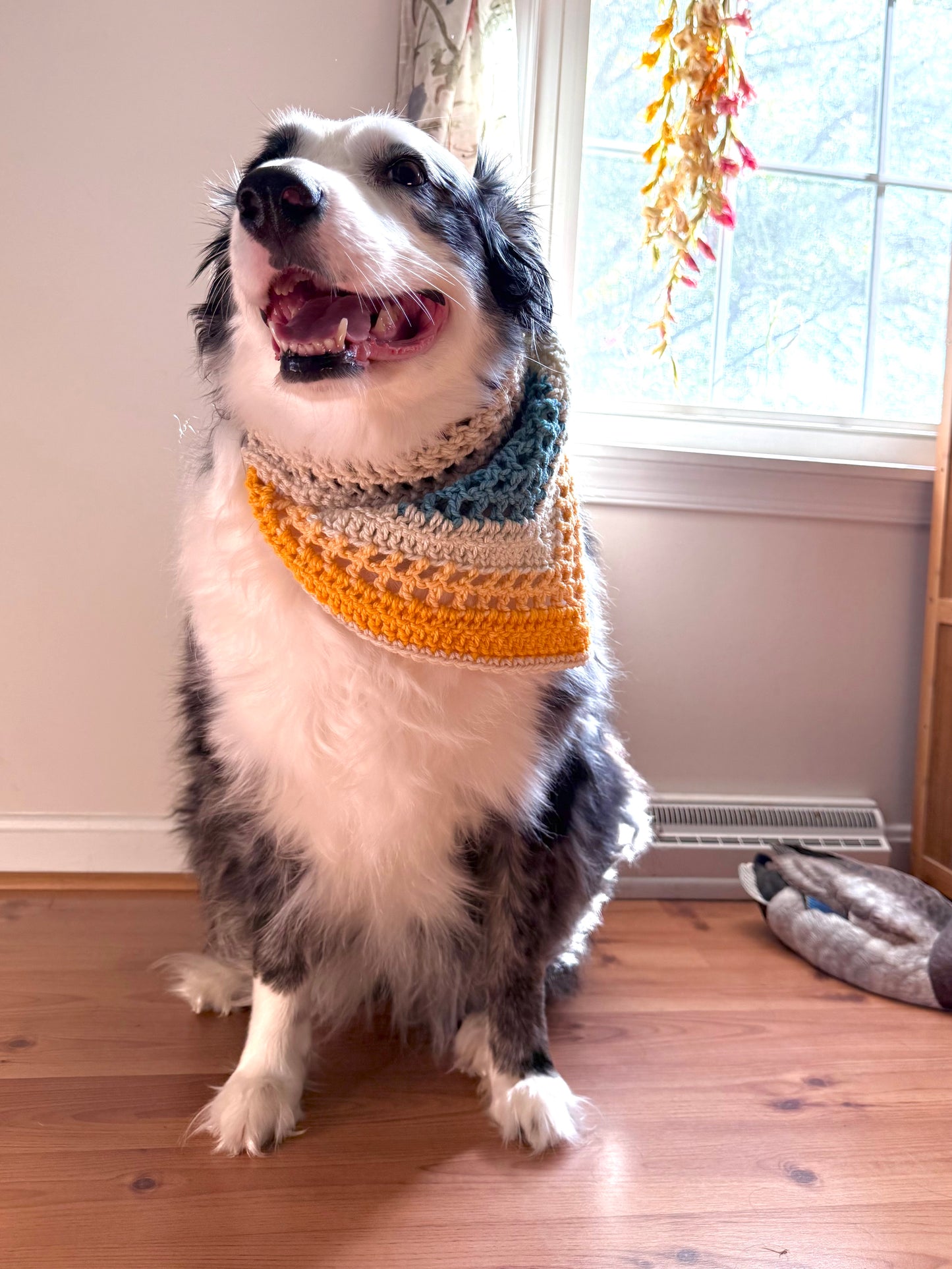 Summer Vibes Dog Bandanas
