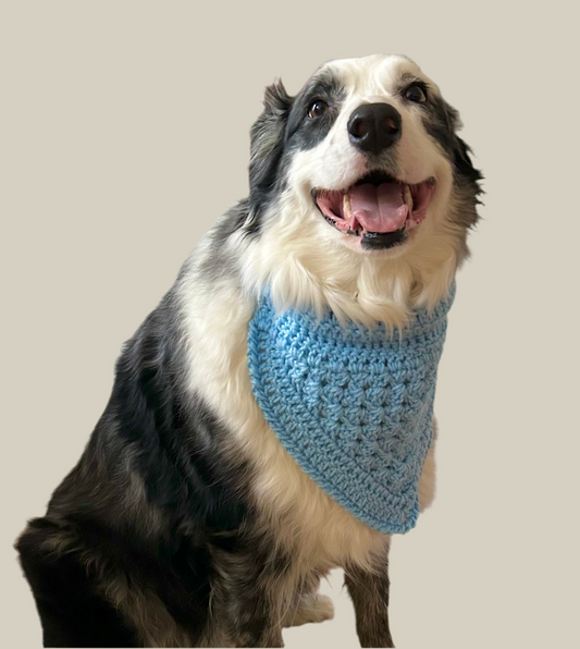 Baby Blue Bandana