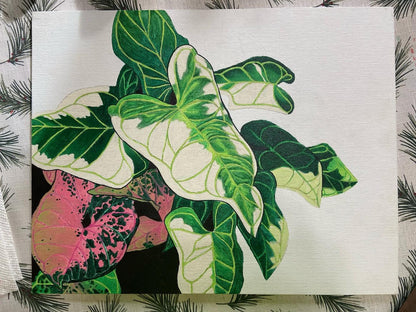 Syngonium Love Print
