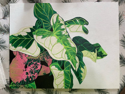 Syngonium Love Print