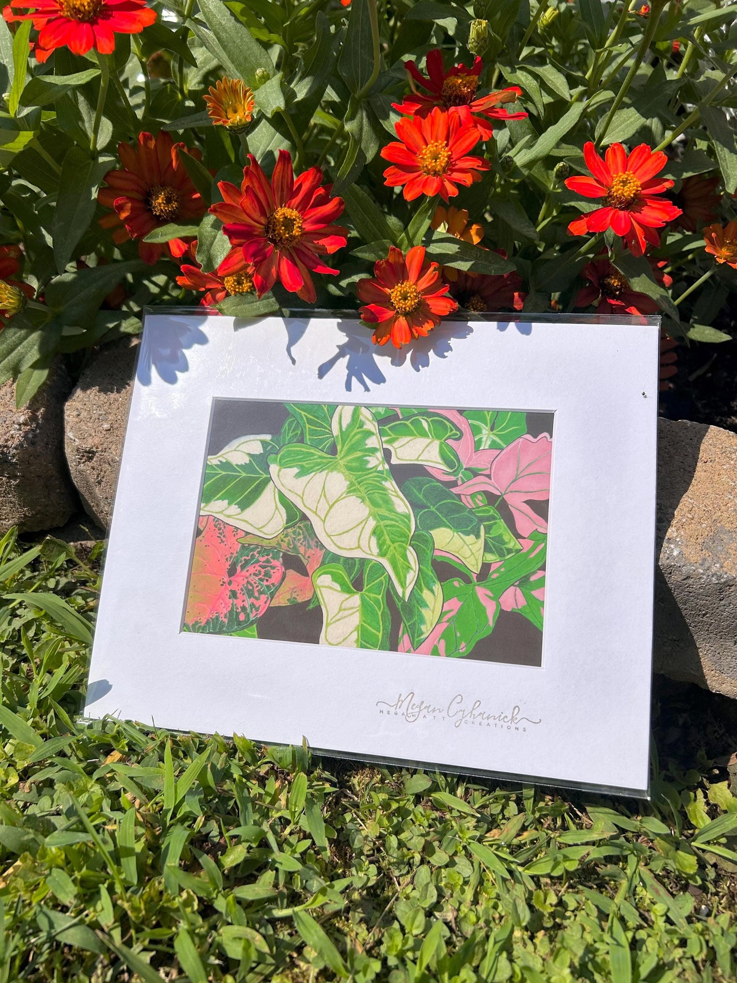 Syngonium Love Print