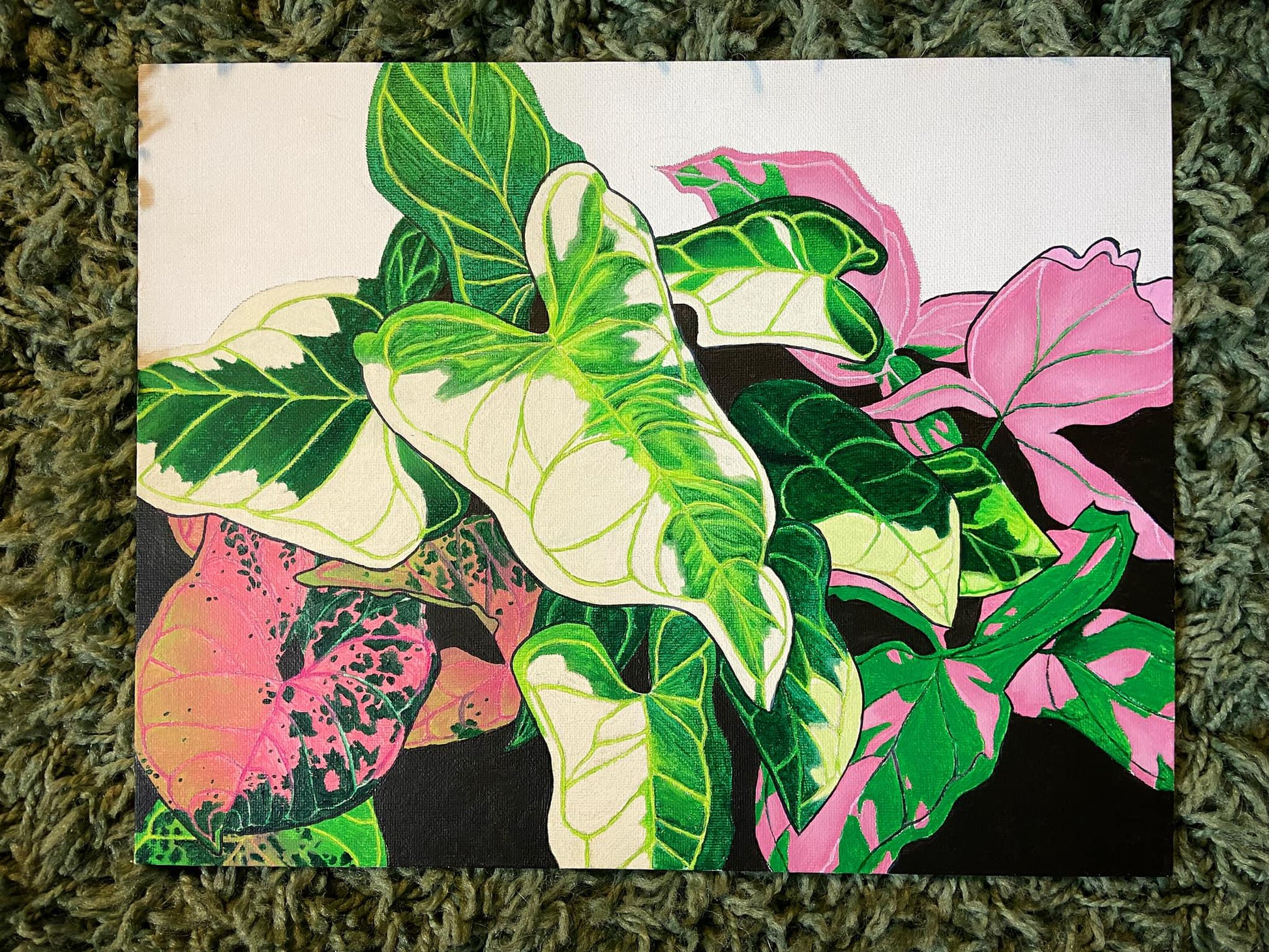 Syngonium Love Print