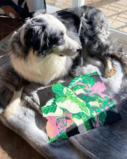 Syngonium Love Print