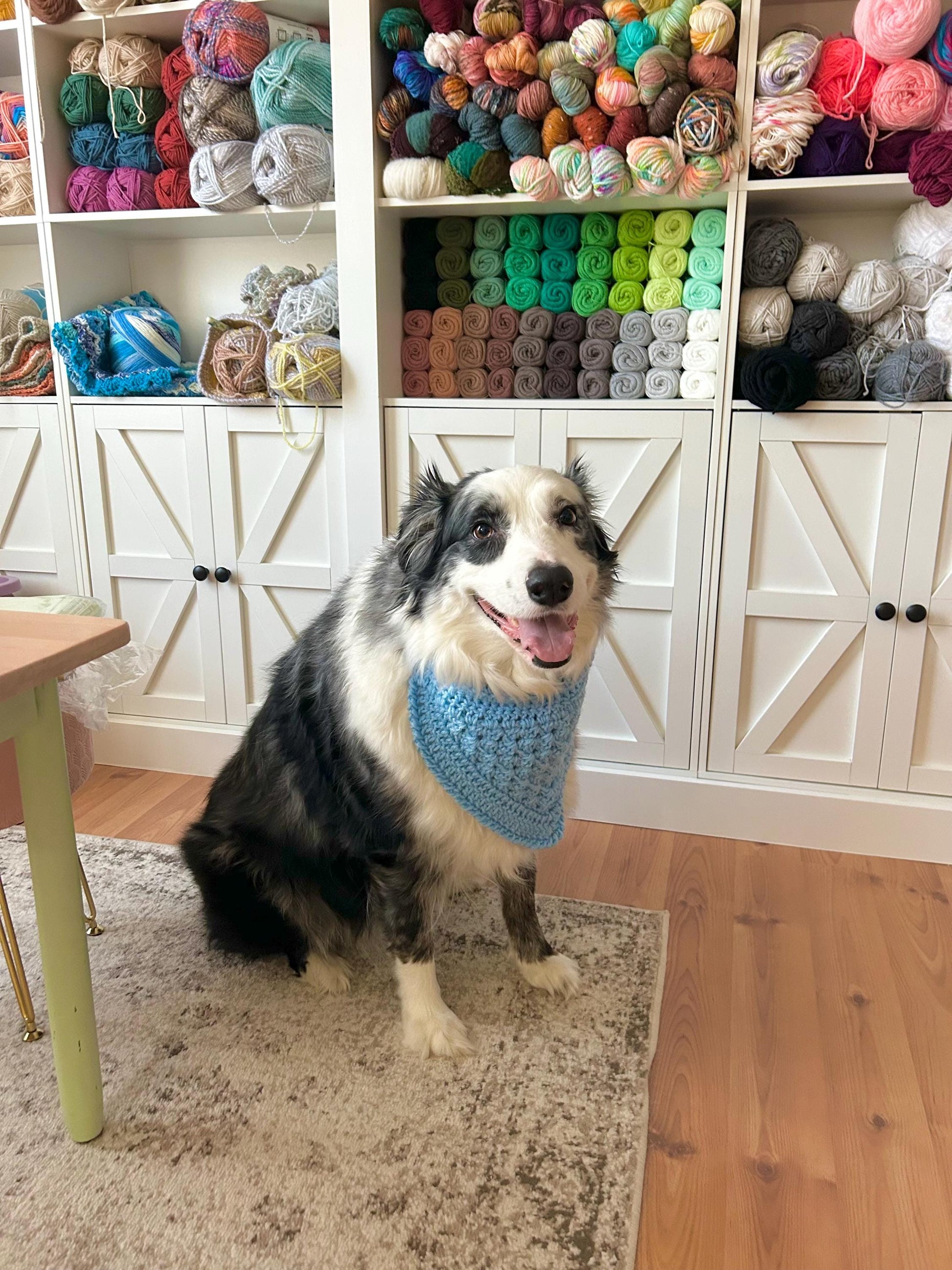 Blue Dog Bandana