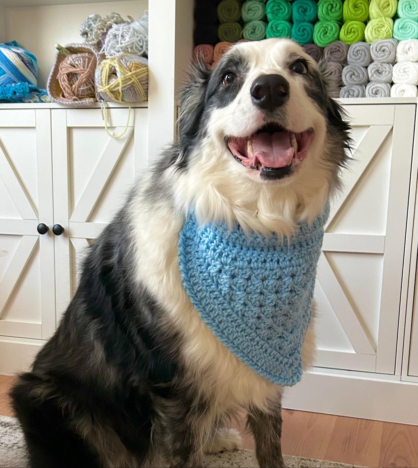Blue Dog Bandana